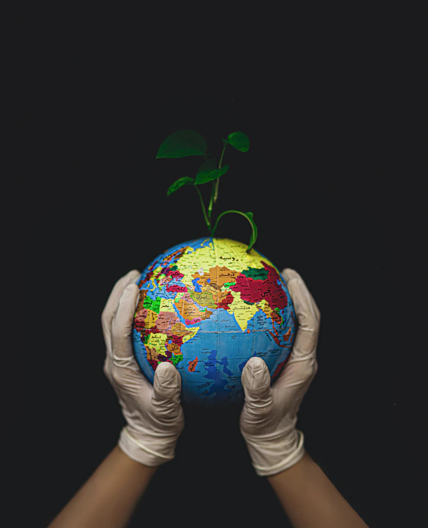 Sustainable Choices Our Unique Approach to Eco-Friendly Living