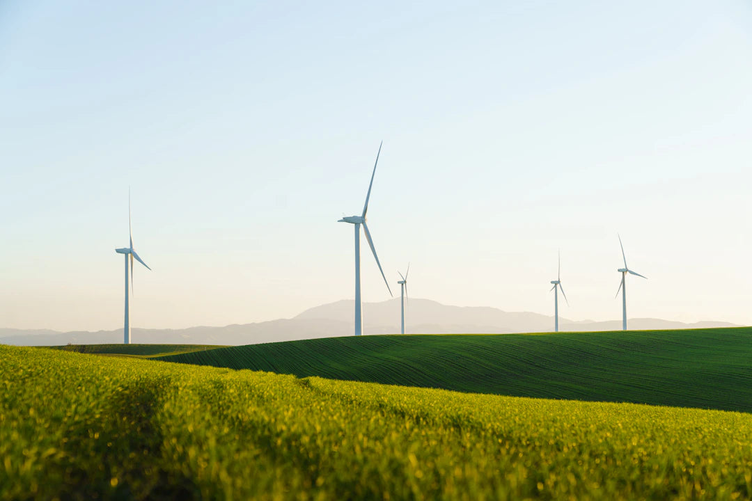 Embracing Sustainability Our Eco-Friendly Practices
