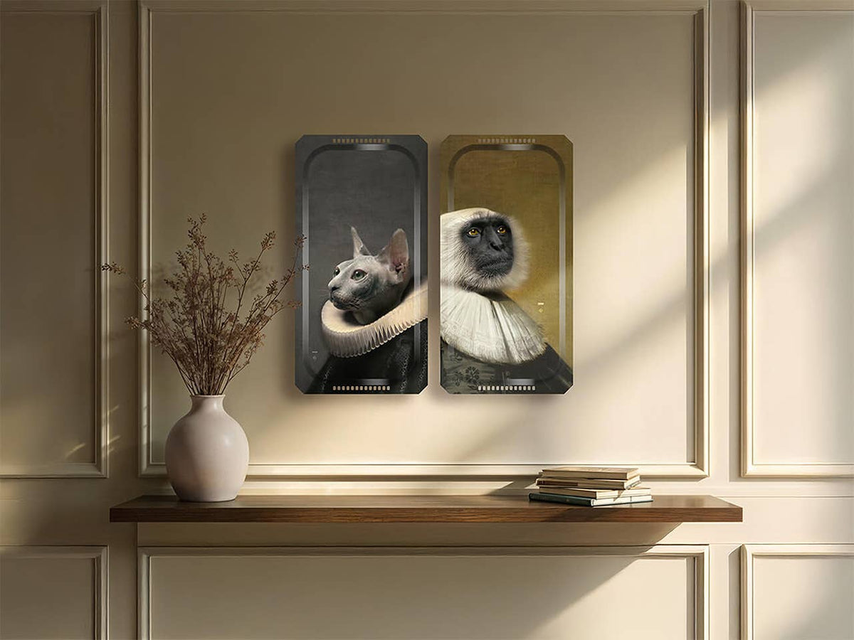 Ibride - Platters - The Monkey and the Cat Ibride